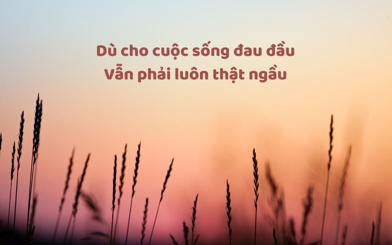 Tuyển tập caption hay yêu đời bá đạo