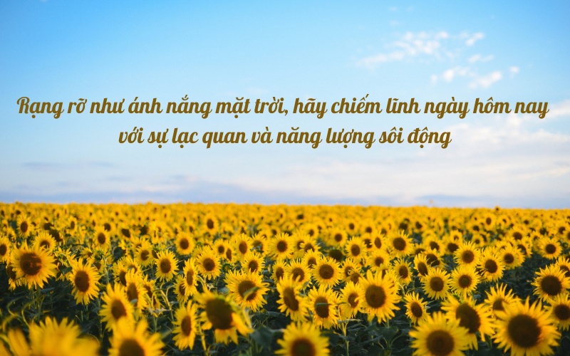 Những câu châm ngôn sống tích cực cho ngày mới