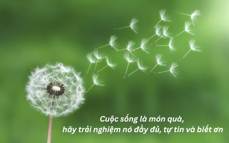 Châm ngôn cuộc sống tích cực lạc quan về cuộc sống