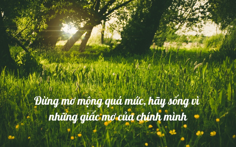 Câu nói tích cực về cuộc sống để đạt đến thành công
