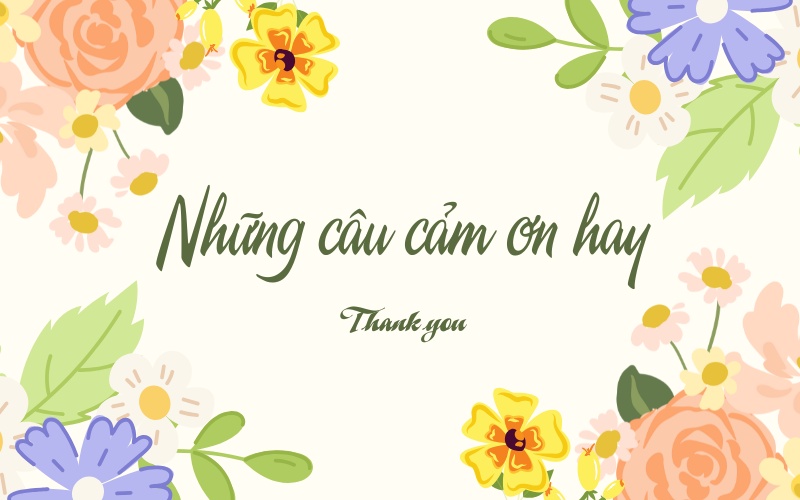 những câu cảm ơn hay