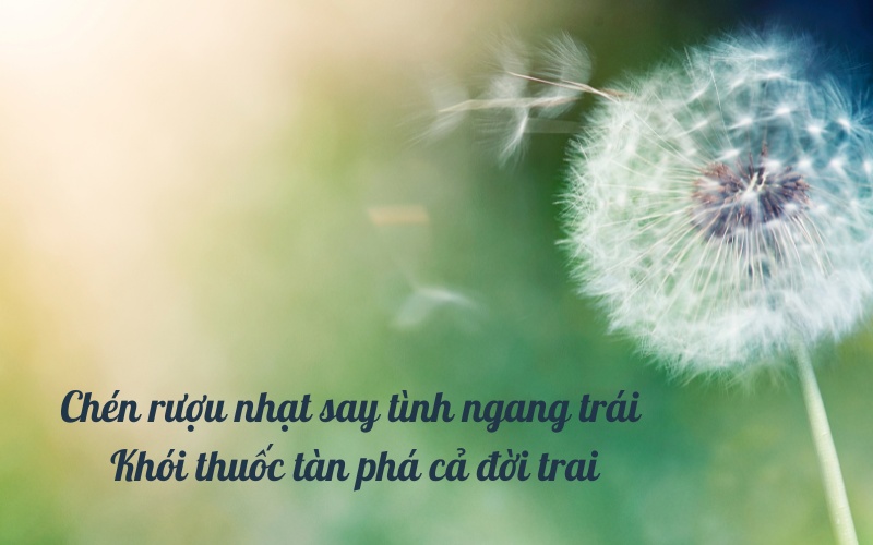 Câu châm ngôn hay về cuộc sống chất, ngắn