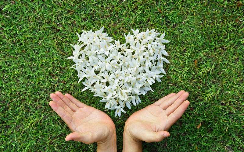 Những câu nói hay trong cuộc sống