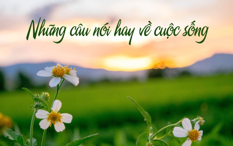 Những câu nói hay về cuộc sống