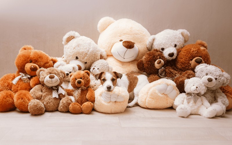 Gấu bông là món quà tặng sinh nhật cho vợ