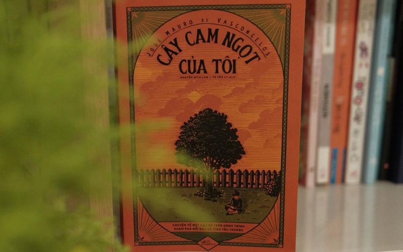Chi tiết tấm lòng cao đẹp và đầy tình yêu thương của Zezé trong tác phẩm