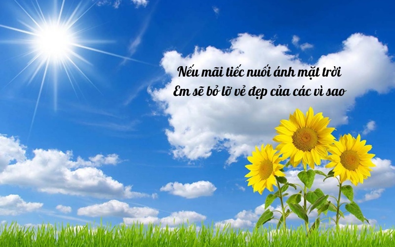 Status yêu đời, yêu bản thân