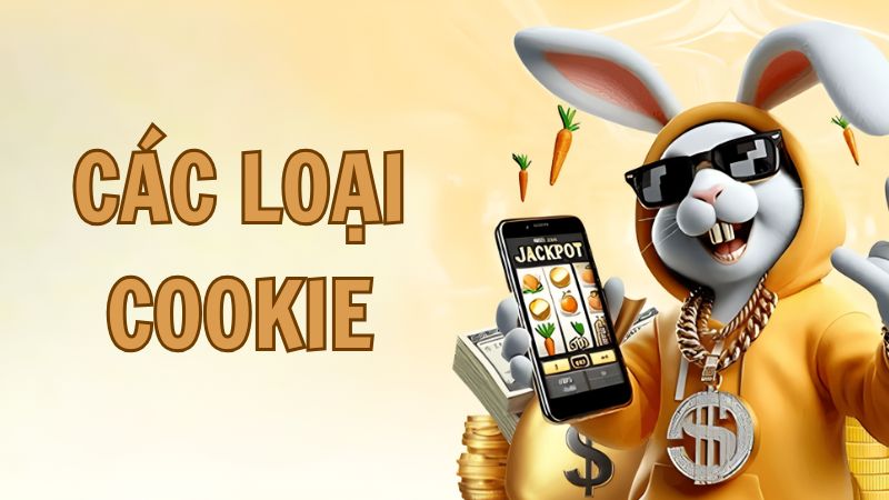 Nhà cái 58Win sử dụng những loại cookie nào