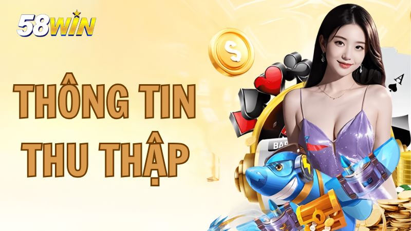 Nhà cái 58Win sử dụng những loại cookie nào